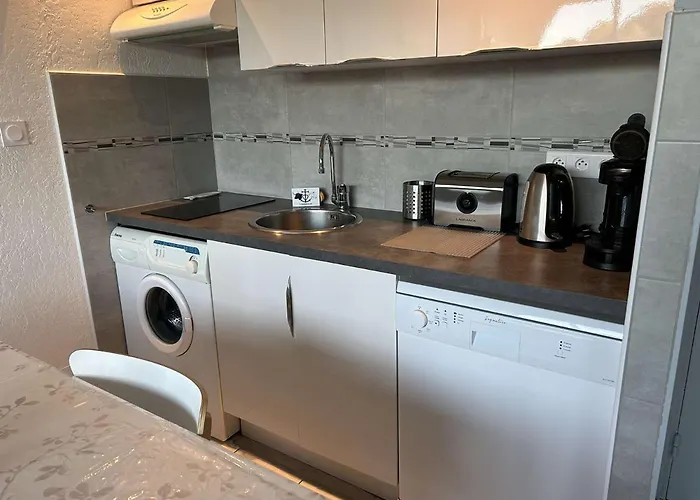 Familial Avec Piscine Et Parking A Port Camargue - Fr-1-250-234 Apartment